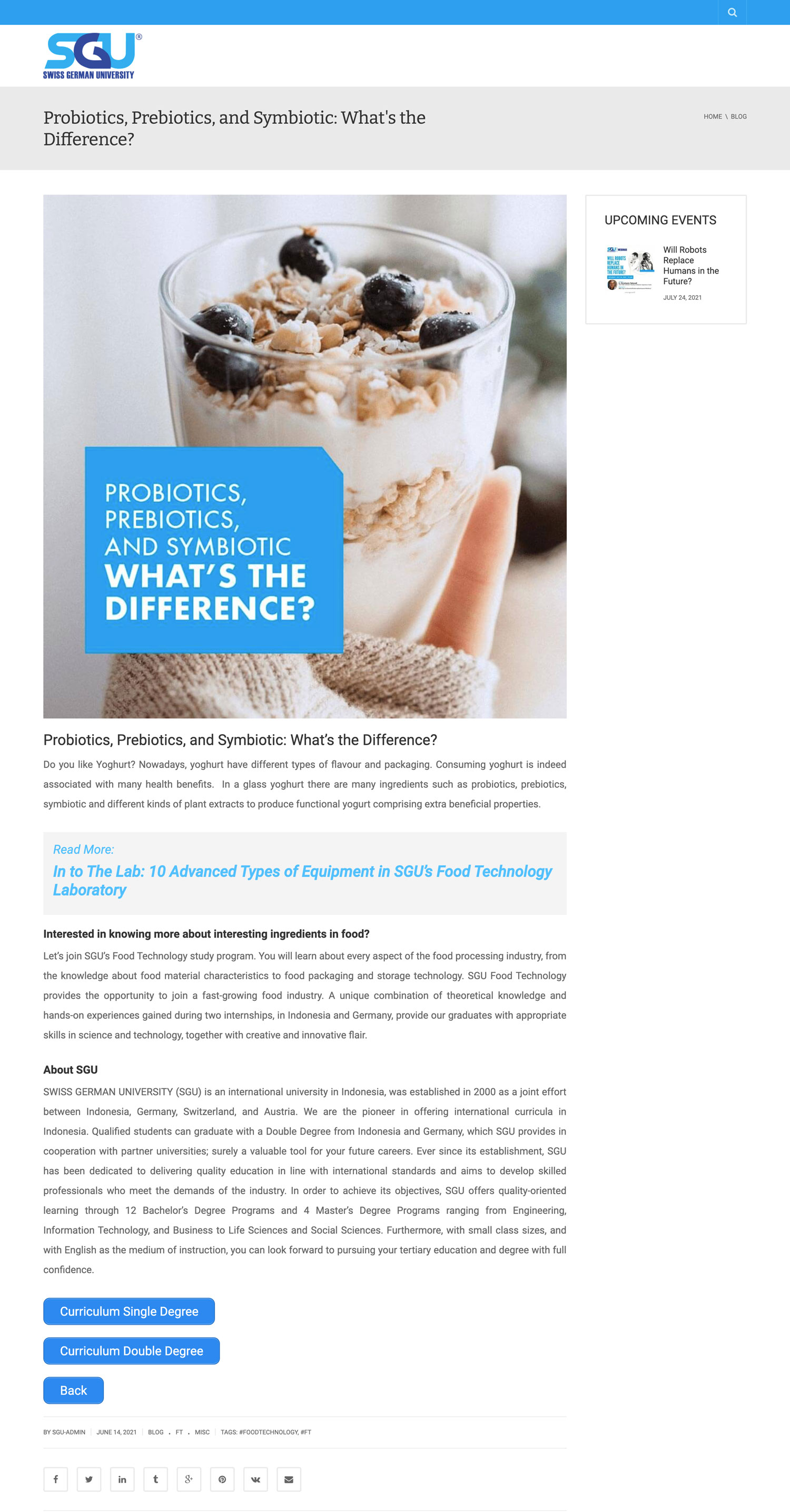 Blog Detail Page Preview